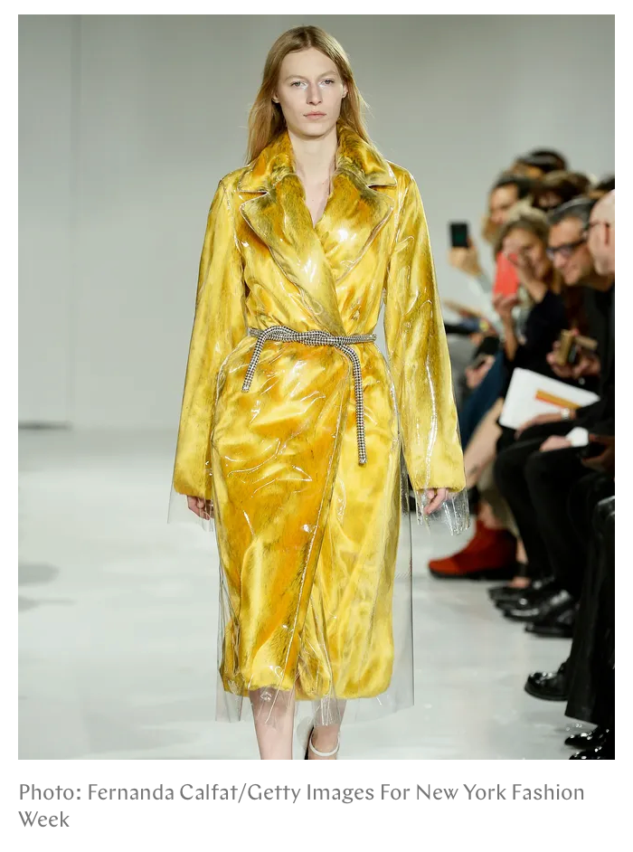 Premiere Designer, Calvin Klein Collection (Raff Simons)